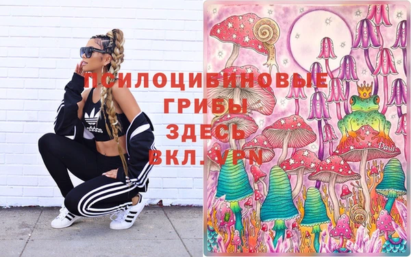 МДПВ Богданович