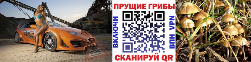Галлюциногенные грибы GOLDEN TEACHER Пермь